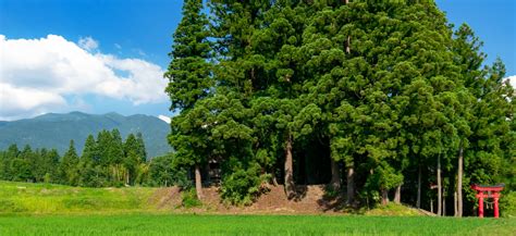 蛇猴 鎮守の森 元素石碑